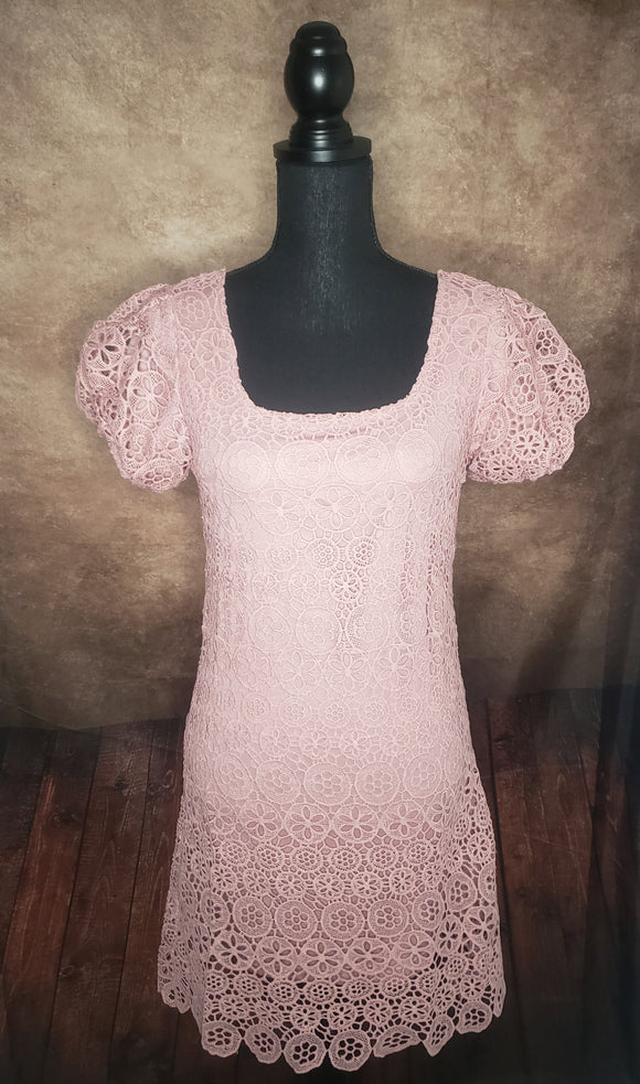 Blush short sleeve Mesh dress